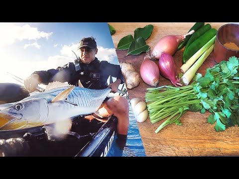 Quick Tuna + Mackerel Green Curry Catch And Cook