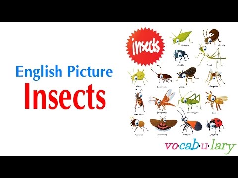 download lagu mp3 mp4 Pottu English Meaning, download lagu Pottu English Meaning gratis, unduh video klip Pottu English Meaning