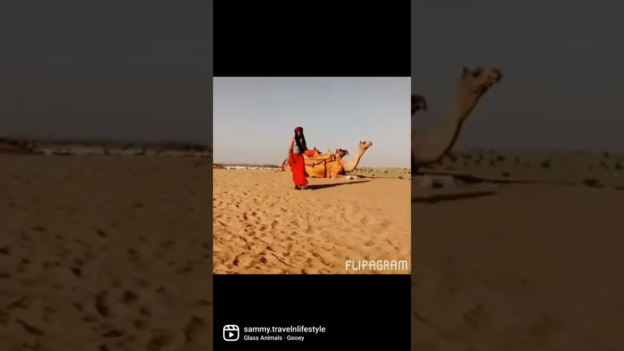 Sam Sand Dunes || Thar Desert || Jaisalmer || India || #Shorts