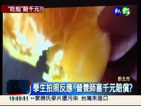 好噁的午餐! 番茄豆腐有蛆蠕動