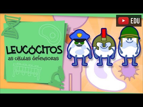 Leukocytes - the defenders of cells