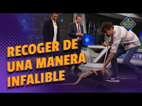 TRUCAZO - Marron nos enseña a limpiar la alfombra de una forma inigualable - El Hormiguero