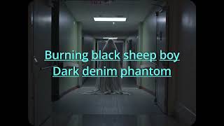 Okkervil River - Black Sheep Boy #4 (Lyrics)