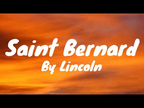 Saint Bernard (Lyrics) - Lincoln