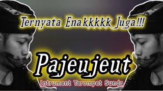 Download lagu Lagu Sunda Bikin Sedih⁉️ PAJEUJEUT Instrument Tarompet Sunda Mang Ardi mp3