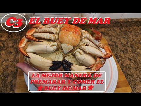 EL BUEY DE MAR **LA MEJOR MANERA DE PREPARARLO Y COMERLO**