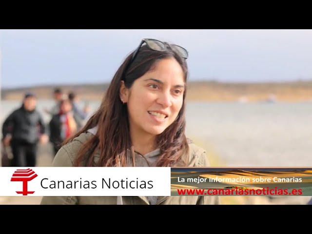 Salmón: ¿industria depredadora?