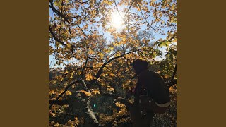 The Sky Is the Limit