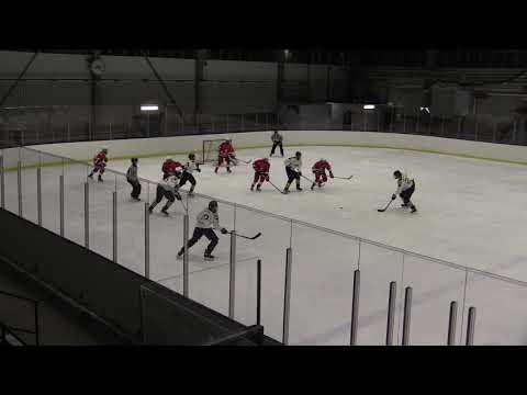 GötaTraneberg - Wings U16 20190205 P1