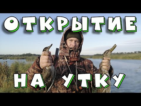 ОХОТА НА УТКУ 2019.ОТКРЫТИЕ. КАК ОТДЫХАЮТ НОРМАЛЬНЫЕ МУЖИКИ.