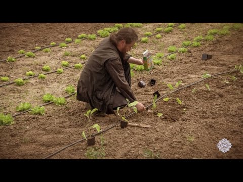 SVETA GORA nije OBIČNO MESTO | Božanski VRT | Bilje Svete Gore | PRIČE SA ATOSA Ep.06