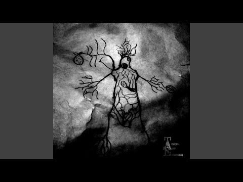 From Beyond the Forest