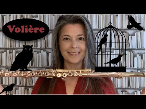 Volière: orchestral flute TUTORIAL