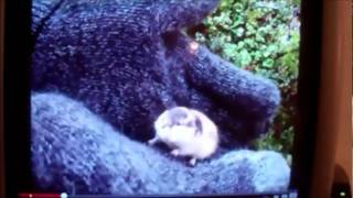 InSaNiTy CoMmEnTaRiEs: I Have A Fucking Headache