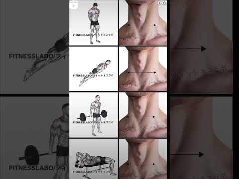 Neck workout💯|| #trending #shorts #motivation #viralvideo #art #youtubeshorts