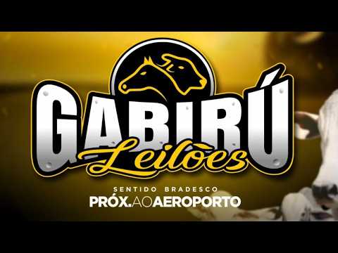 📍💻 ▶️ GABIRÚ LEILÕES / 📍💻 Conceição do Araguaia -  Pará 14/09/2026 ◀️