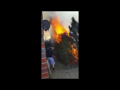 Unkraut vernichten ► lustig ►Extrem Test ► ZERSTÖREN ► Experiment ► ▼↓ ↓INFOBOX▼↓ ↓