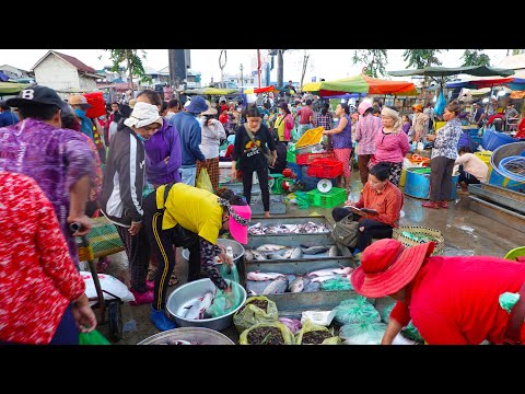 Chhbar Ampov Fish Market In Early Morning And Evening Street Food At Toultompoung