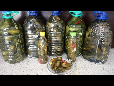 Баклашкага бодринг тузлаш. Ишончли ва осон усули. Огурцы в пластиковой бутылке.