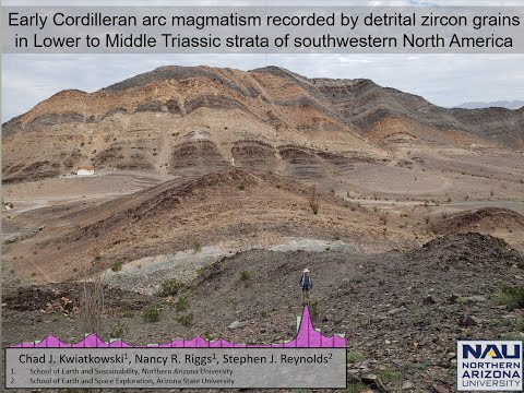 EARLY CORDILLERAN MAGMATISM RECORDED BY ZIRCON GRAINS IN LOWER TRIASSIC STRATA OF SW NORTH AMERICA