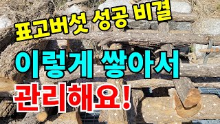 초보자도 가능한 표고버섯 재배방법 / 표고버섯 키우기 / 표고버섯종균넣기