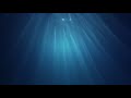 UNDERWATER RAYS