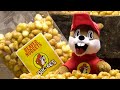 Buc Ee S Beaver Nuggets Here S What We Know About Them