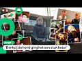 Jullie goede nieuws: heel veel nieuwe huisdieren
