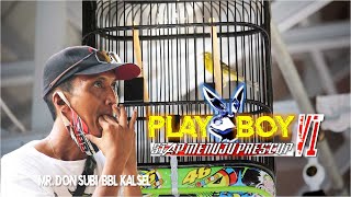 Download lagu RAJIN JUARA I Bleken Play Boy Siap Bertarung di Presiden Cup VI - Mr. Don Subi BBL mp3