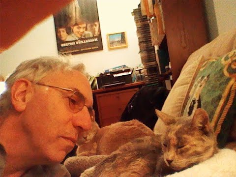 Settling Down With Finn and Deirdre in 'The Penthouse'