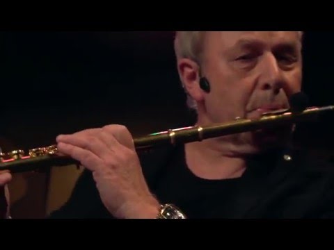 Lenny Mac Dowell Band Live at Bix Stuttgart  : Please Fasten Your Seat Belts