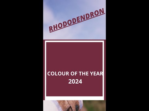 Colour of the Year 2024 : RHODODENDRON