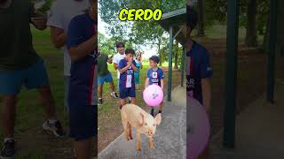 Animal con la Letra C 😅 #shorts