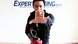 "SPECIAL" Hand Coordination Drills for Boxing / Fight Training