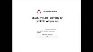 Shura, Ivy Sole - elevator girl (schizoid wasp remix)