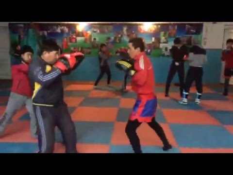 работа на лапах (касымов мирбек)