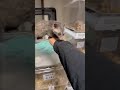 ジャコウネコ パームシベット(CBベビー)のYouTubeサムネイル画像