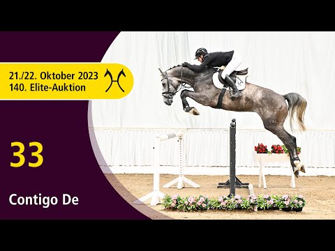 140th Elite-Auction - Oct. 21/22 - No. 33 Contigo De by Chacoon Blue - Spartacus