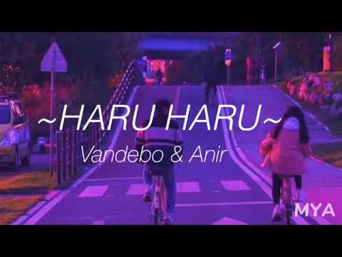 Vandebo & Anir / HARU HARU / Lyrics