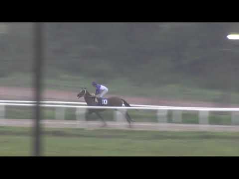 CARRERAS SINT FLORIDA 210930 c08 1° DONDIN