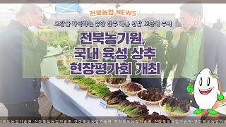 [2022 - 10 - 17]  전북농기원, 국내 육성 상추 현장평가회 개최