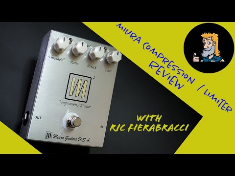 Rare 2010s Miura Guitars M2 compressor/limiter image 2