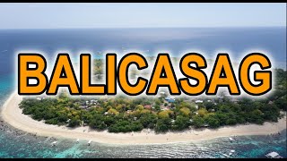 Balicasag Island Hopping From Panglao - Philippines Marine Sanctuary
