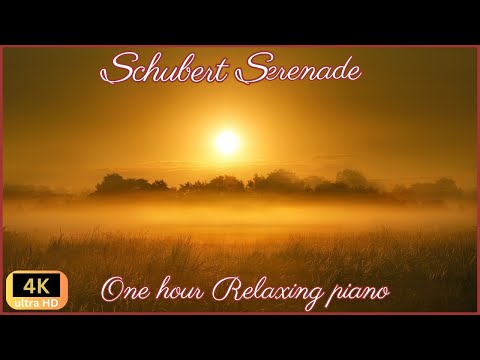 1 hour - Schubert 'Serenade' (Standchen) relaxing piano with 4K Aerial Autumn Forest  Film
