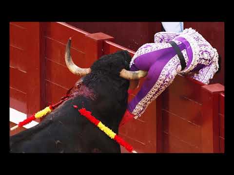 Pablo Hasél - Por soñar que no quede