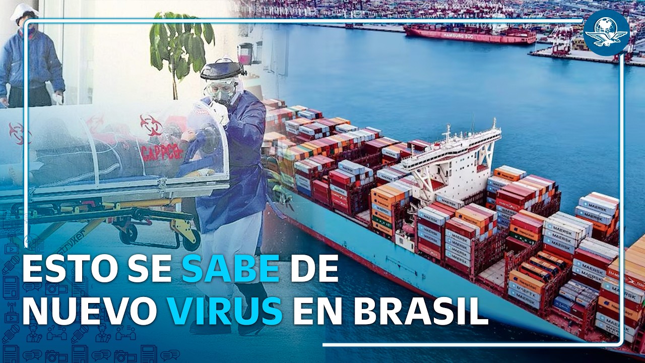 Enfermedad de Newcastle: Esto es lo que se sabe del brote en Brasil