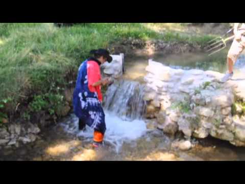 Il pazzo - Bruno Salvatore