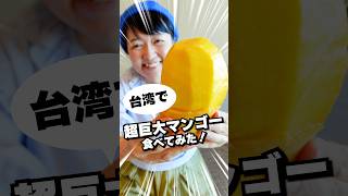 【台湾おすすめ土産】マンゴーをお土産に‼️ドライマンゴーとスイーツ「源之家」 #台湾旅行#台北 #台湾土産