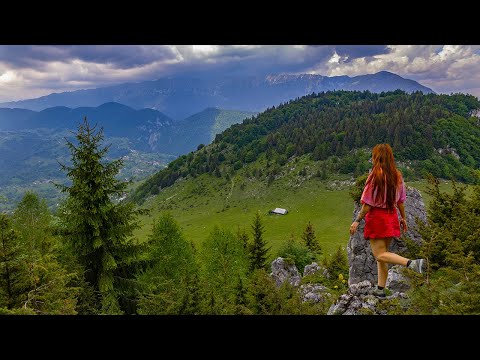 Întâlnire Singură cu Ursul | Traseu Măgura Mare | Piatra Craiului mai puțin cunoscută