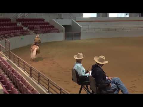 180223 Dr Jim Morgan on Shiney Workboots Non Pro